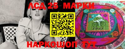 индика Усть-Илимск