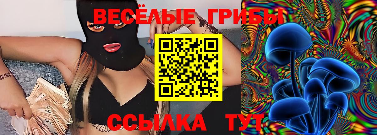 Галлюциногенные грибы Cubensis Заринск