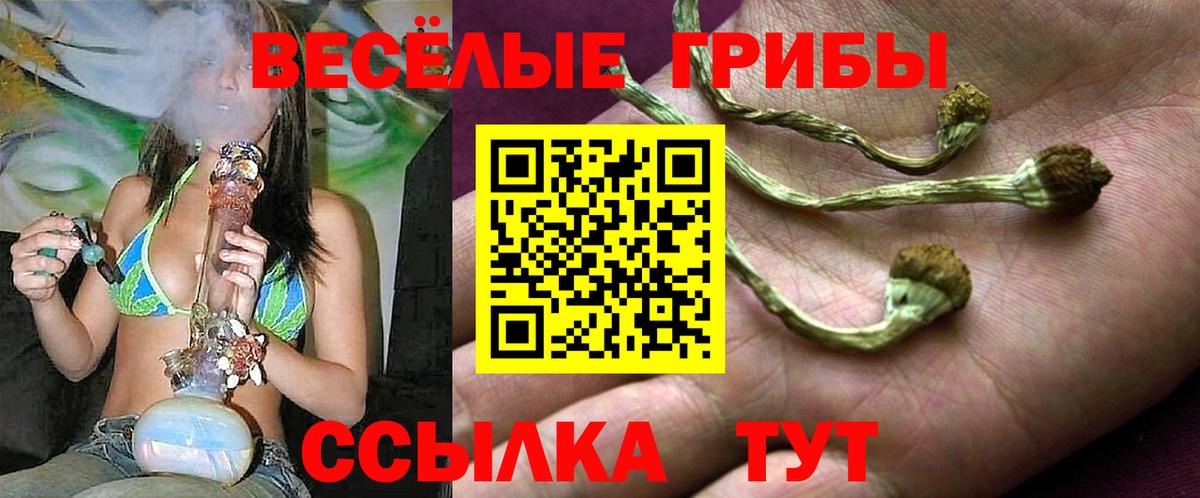 Заринск  Галлюциногенные грибы мицелий  Вход с VPN 